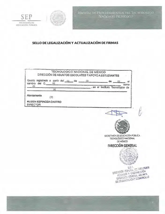 Página 247 de Manual de Procedimientos del TecNM