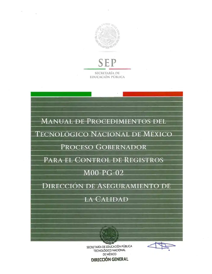 Página 379 de Manual de Procedimientos del TecNM