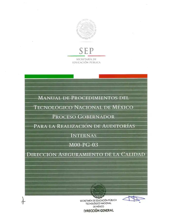 Página 390 de Manual de Procedimientos del TecNM